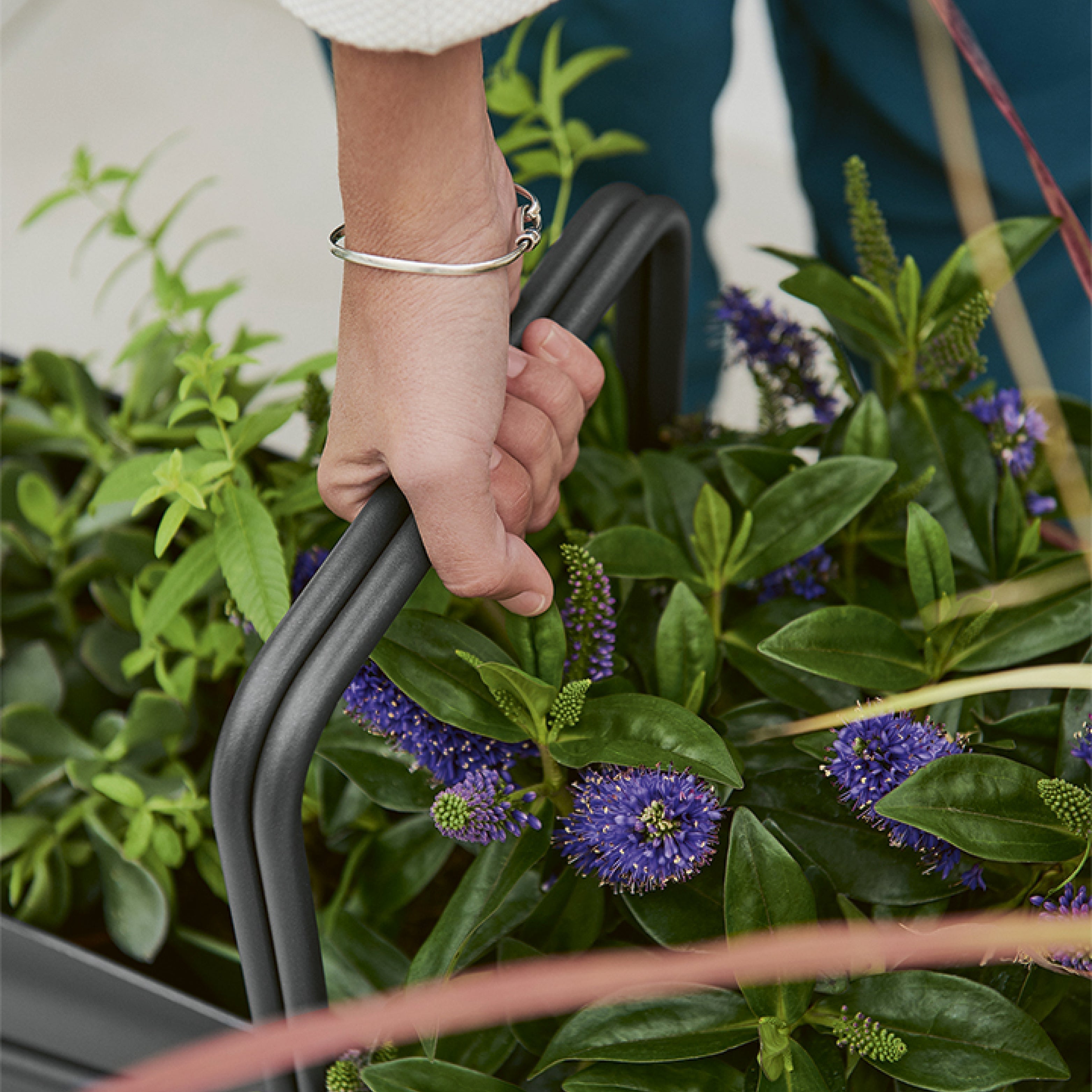 Detailaufnahme eines Outdoor-Pflanzgefäßes mit schwarzem Metallgriff, gehalten von einer Hand – bepflanzt mit frischem Grün und violett blühenden Gartenpflanzen.