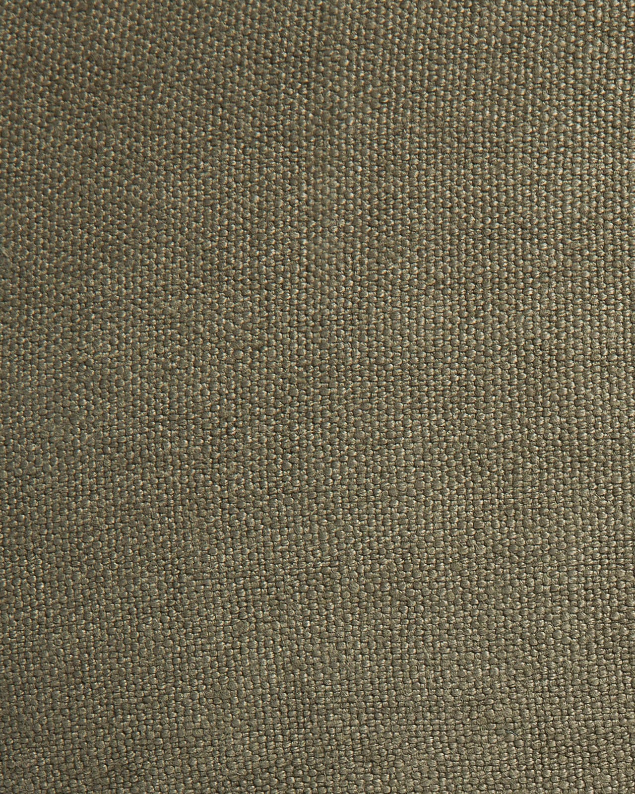 LIN NESCESSITY cushion