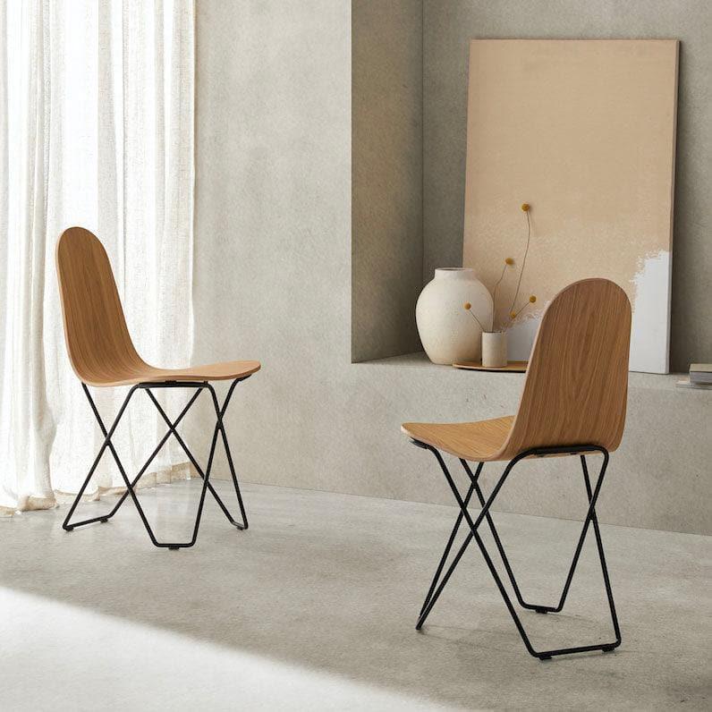 Stuhl CACTUS OAKWOOD _ Cuero _SKU