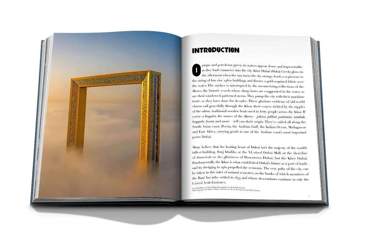 Livre Dubai Wonder