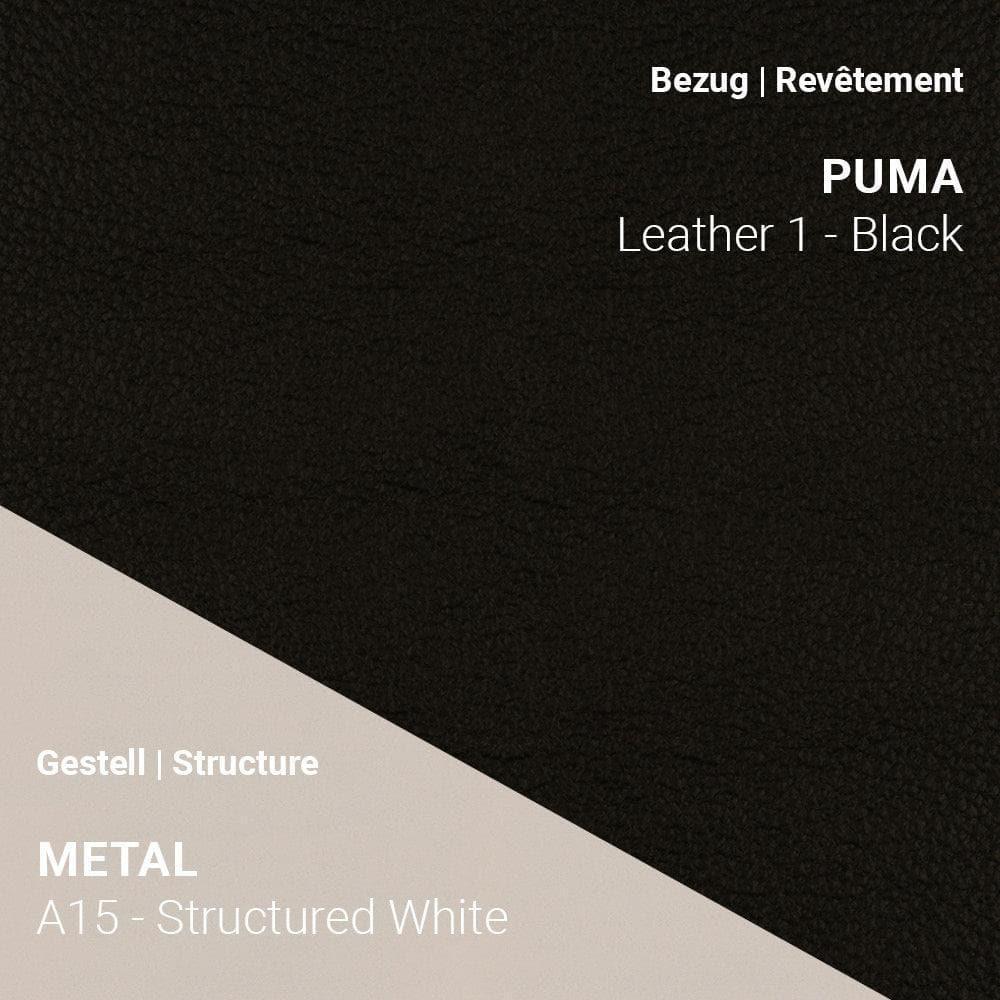 Armlehnstuhl COSY C0212 - Leder | Mobitec | Homestorys