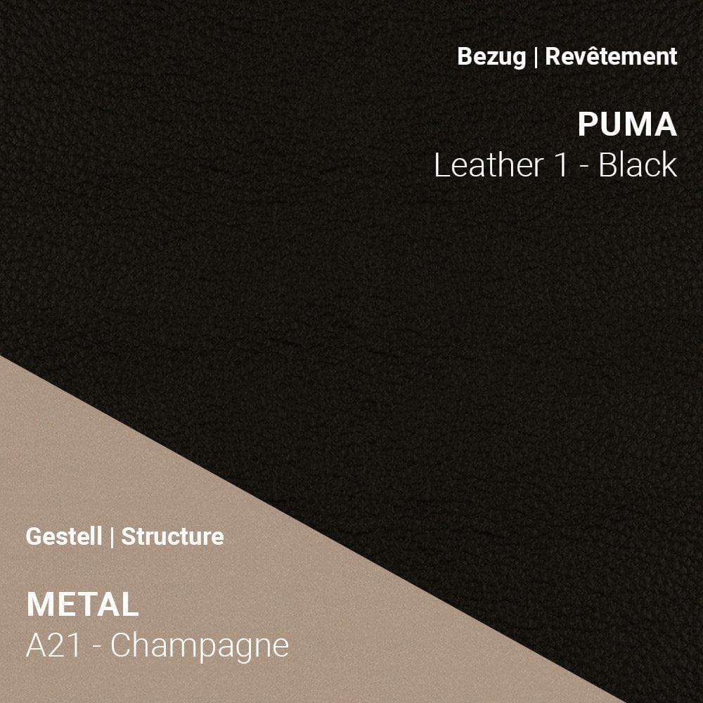 Armlehnstuhl COSY C0212 - Leder | Mobitec | Homestorys