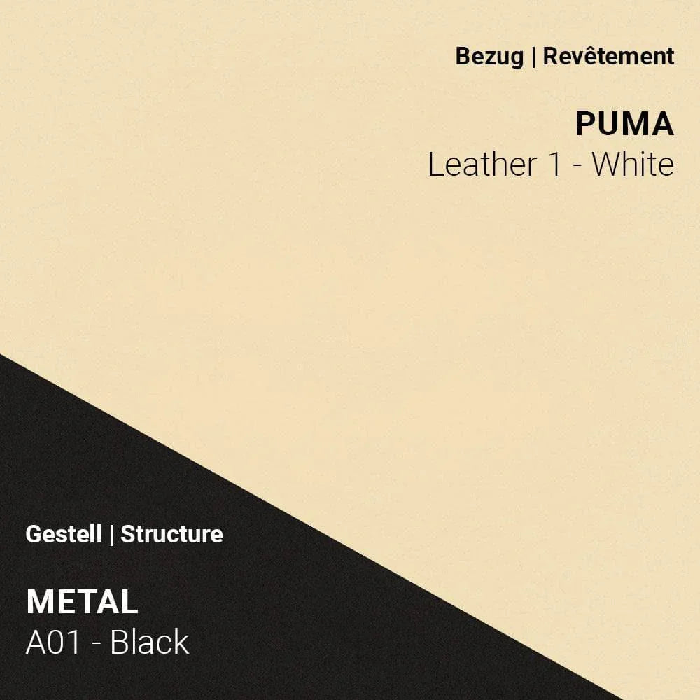Armlehnstuhl COSY C0212 - Leder | Mobitec | Homestorys