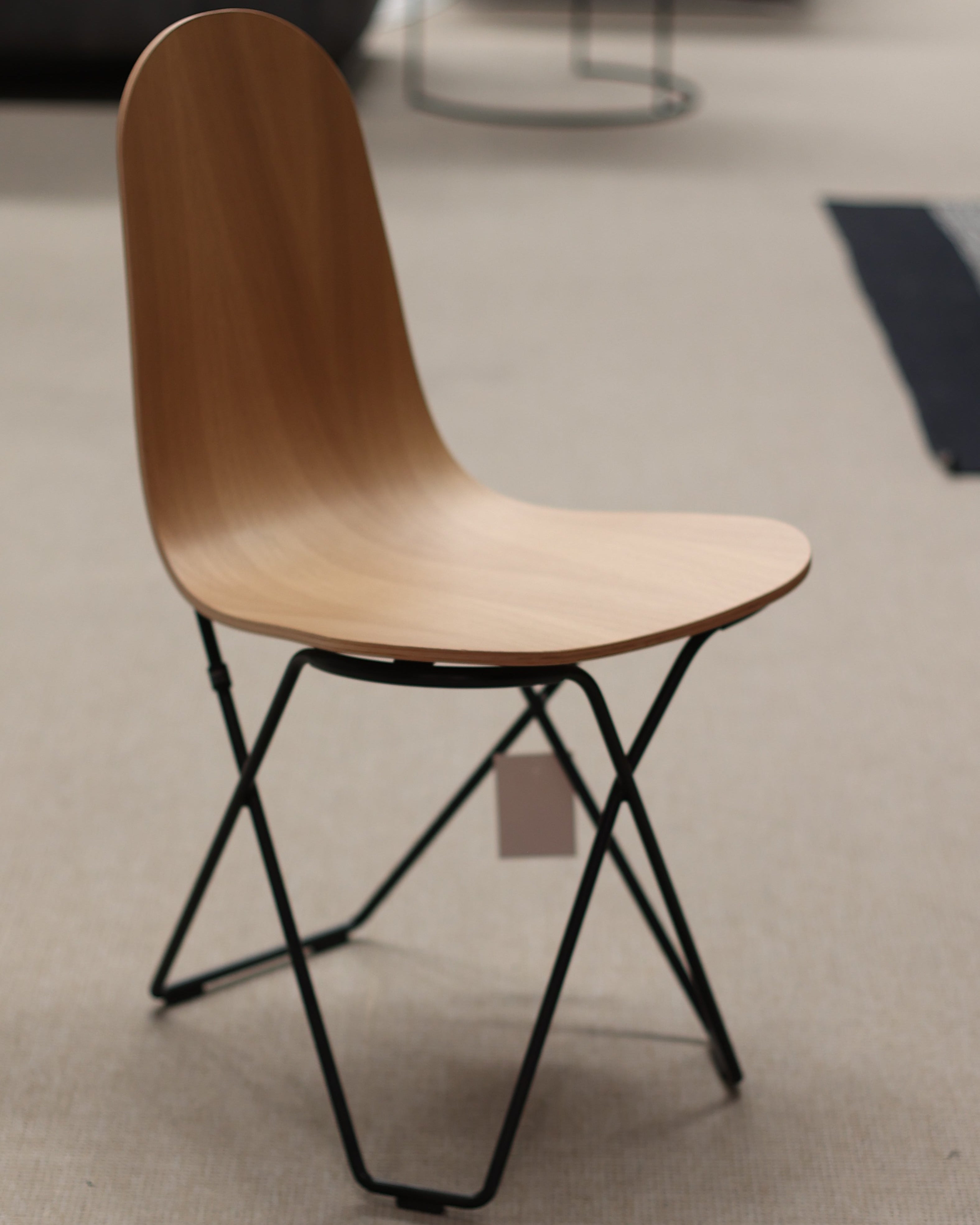 EXPO Cuero CACTUS chair