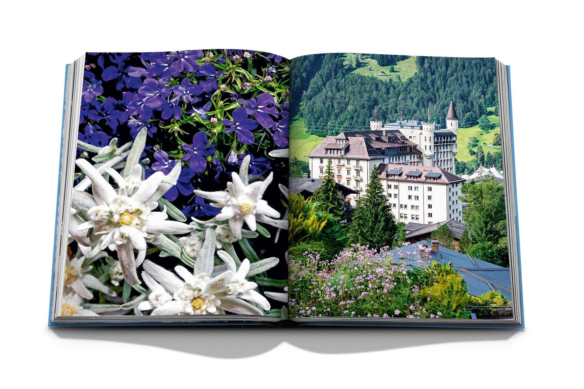 Livre - TRAVEL FROM HOME Gstaad Glam