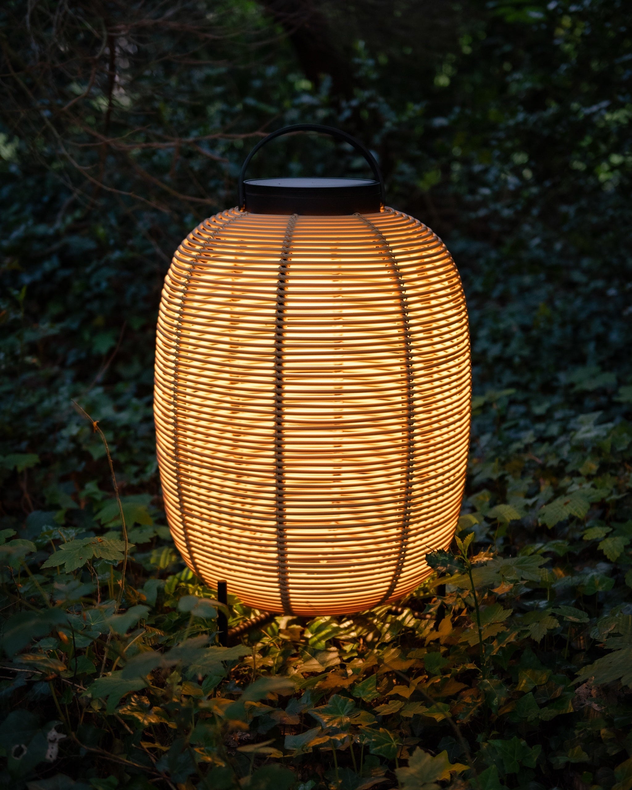 Lantern TIKA Camel