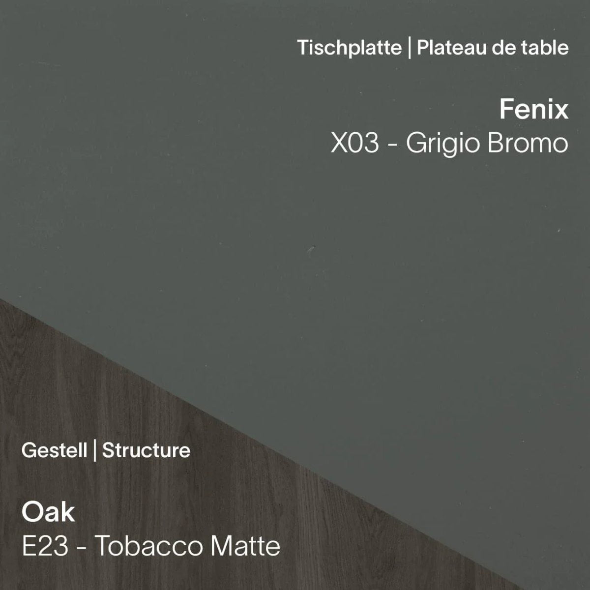 Mobitec - Arbeitstisch TRAVA T1611 - Fenix & Eiche - T1611-X03-E23-100/200 | Homestorys