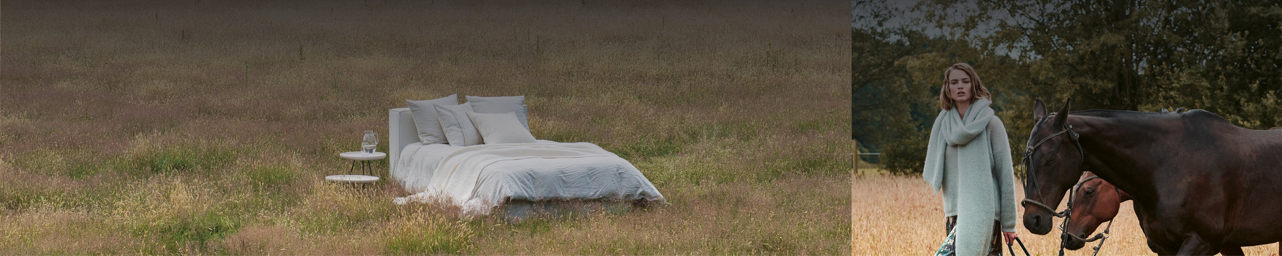 Weitwinkelaufnahme eines Bettes auf einer offenen Wiese vor dichtem Wald, unter freiem Himmel – Natural Homestorys Wohnwelt, in der das Schlafzimmer eins mit der Natur wird.
