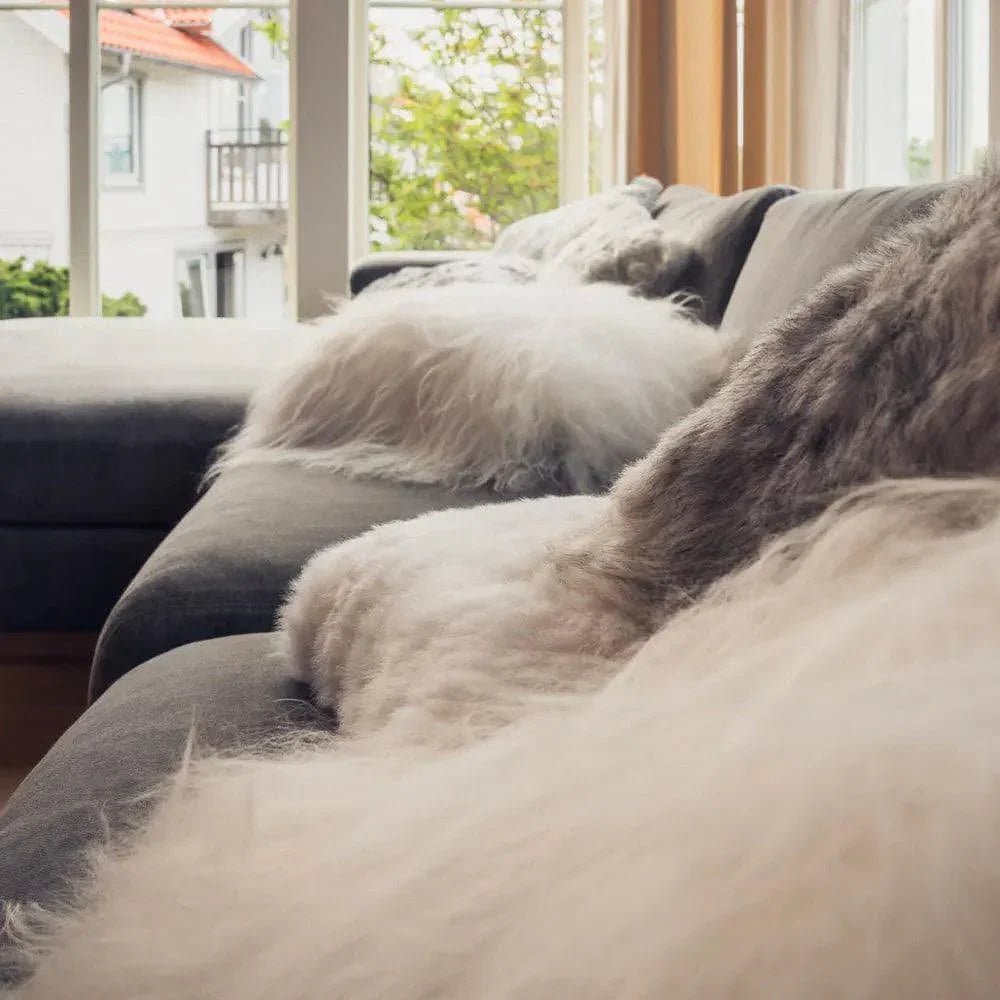 Cuero - Schaffell Kissen -  | Homestorys