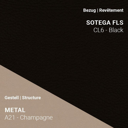 Mobitec LOLA C4212 mit Sotega FLS Black und A21 Champagne – markanter Stil mit sanftem Glanz