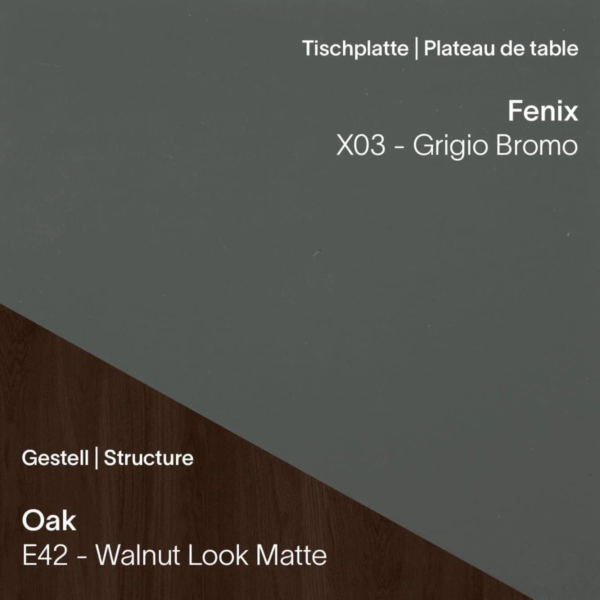 Mobitec - Arbeitstisch TRAVA T1611 - Fenix & Eiche - T1611-X03-E42-100/200 | Homestorys