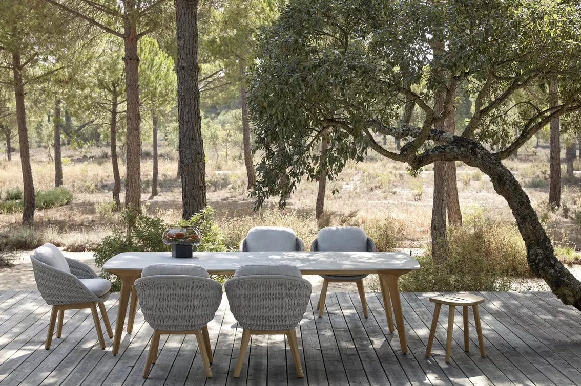 TORSA dining table - 310x135