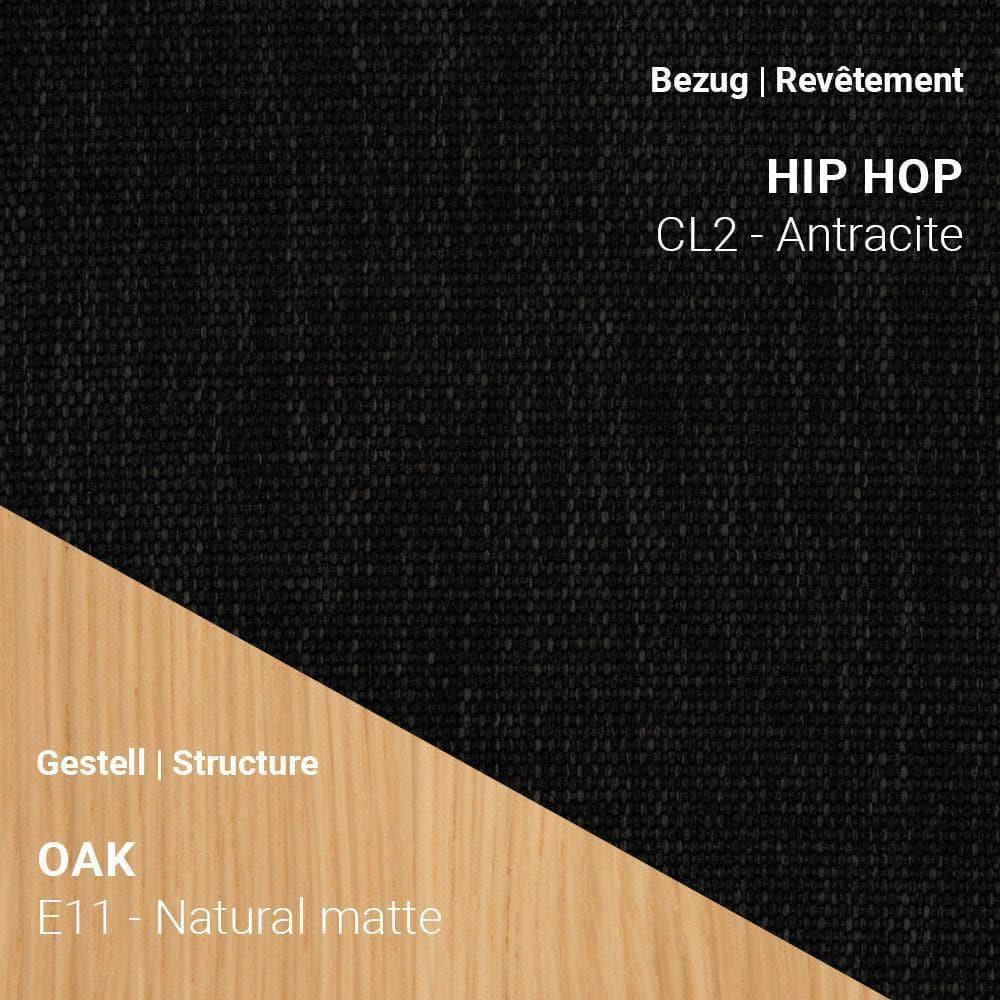SAGA C0110 in Hip Hop CL2 Anthracite mit Eiche Natural Matte Gestell (E11)