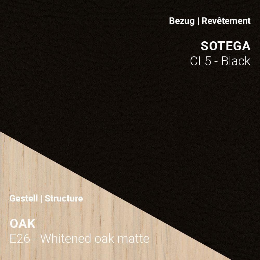 Sotega CL5 Black auf SAGA C0110 mit hellem Eiche Whitened Matte Gestell (E26)